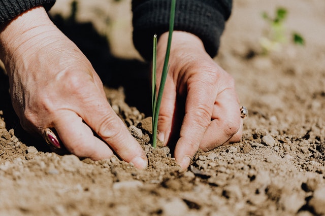 agriculteur