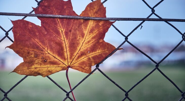 découvrez l'art de lâcher prise avec des conseils pratiques et des réflexions inspirantes. apprenez à surmonter les attachements émotionnels et à embrasser le changement pour mener une vie plus sereine et épanouie.