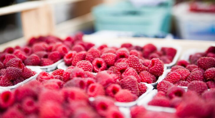 découvrez les stratégies clés pour une expansion réussie sur le marché. apprenez à identifier de nouvelles opportunités, à analyser la concurrence et à développer des plans d'action efficaces pour accroître votre présence et votre impact sur de nouveaux marchés.
