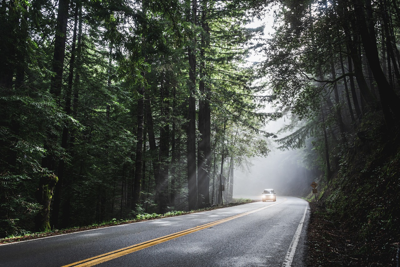 découvrez l'aventure ultime avec notre guide de road-trip, comprenant des itinéraires fascinants, des conseils pratiques et des astuces pour vivre des moments mémorables sur la route.